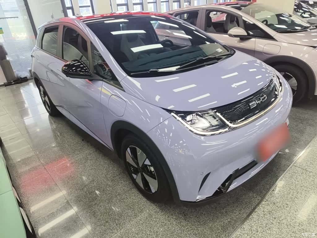 BYD Dolphin, 2024 4