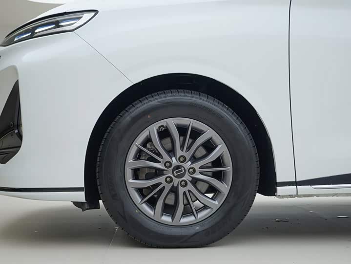 Bestune M9 2023 2.0T zhi zun xing