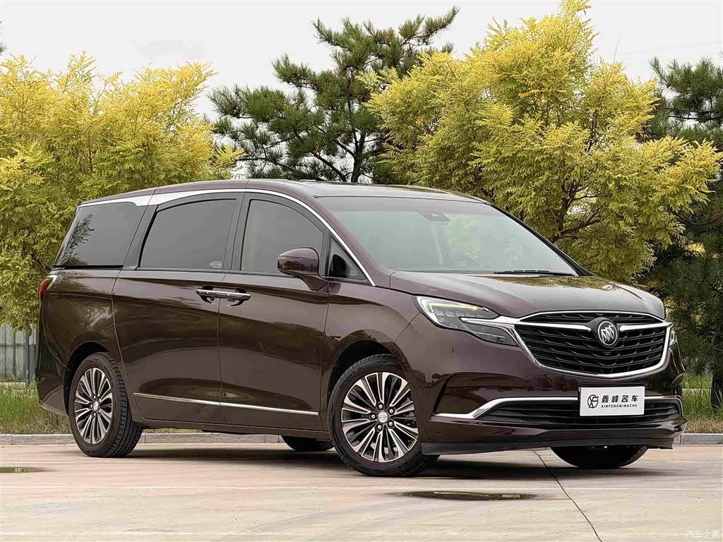 Buick GL8, 2021 3