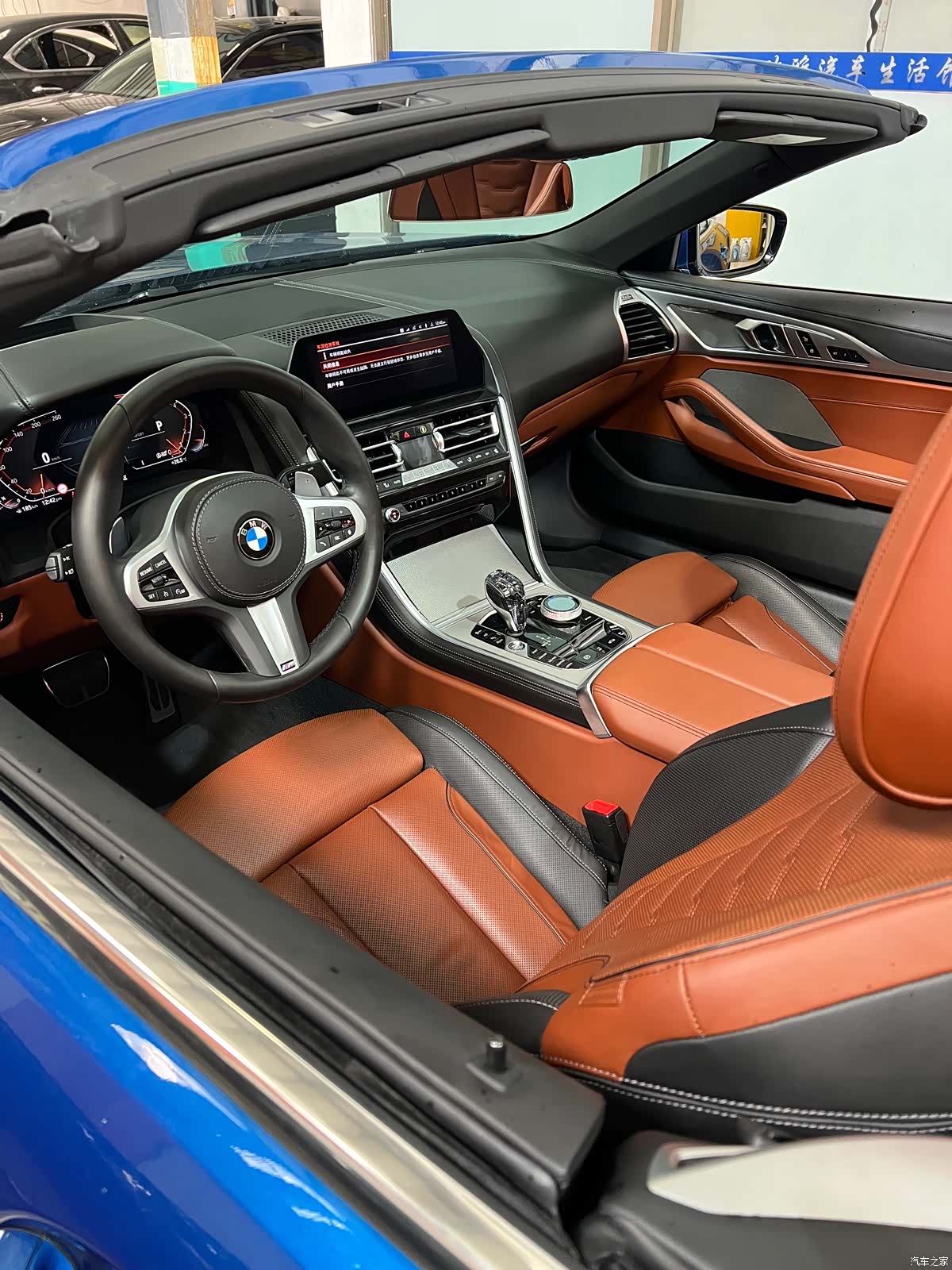 BMW 8 Series, 2019 9
