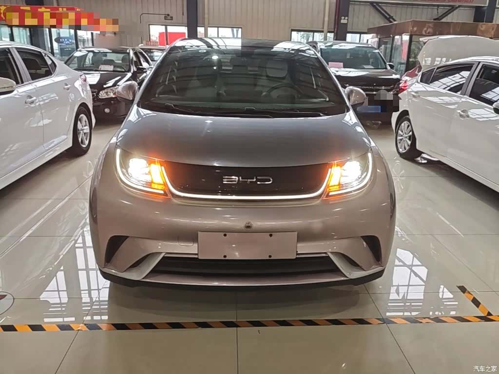 BYD Dolphin, 2022 3