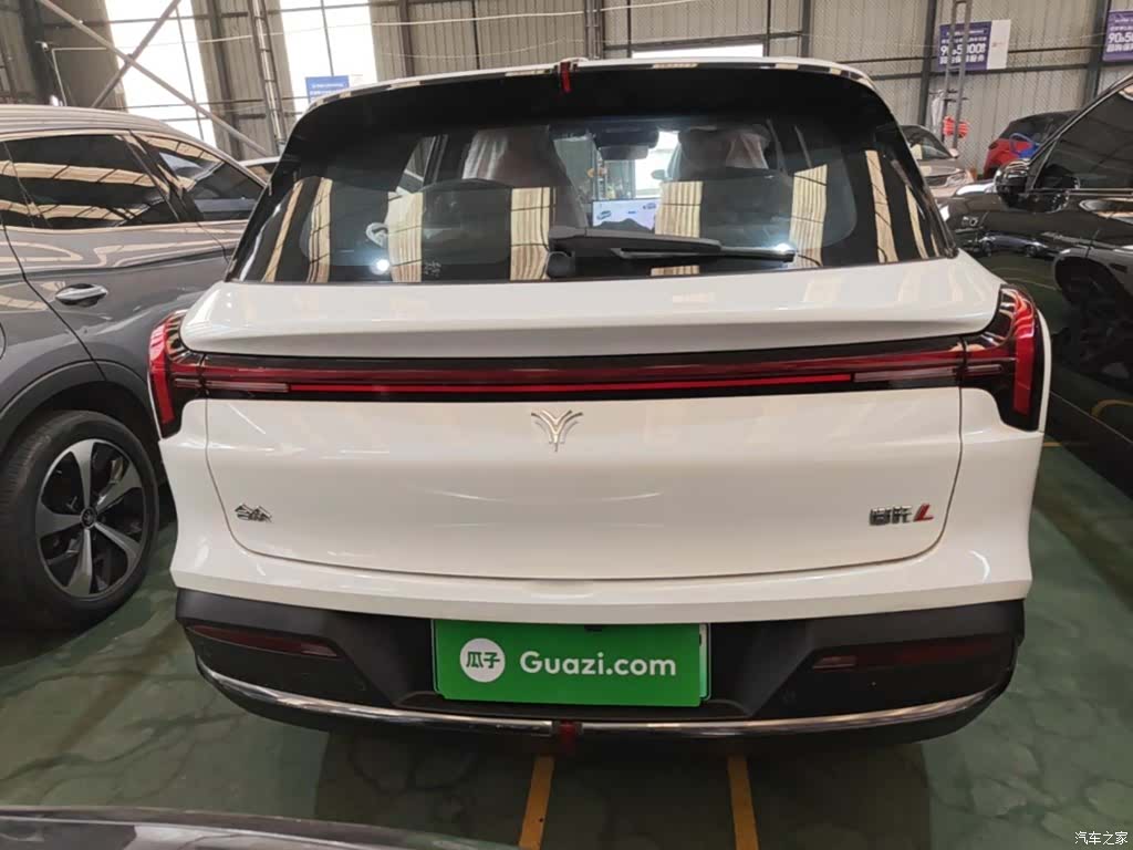 Neta L, 2024 4