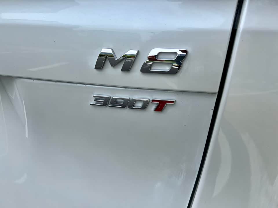 Trumpchi Trumpchi M8