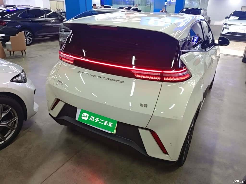 BYD Seagull, 2024 7