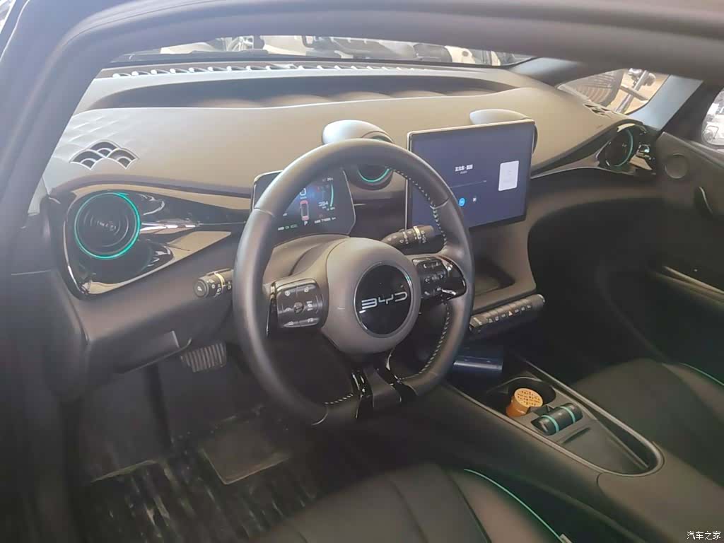 BYD Dolphin, 2023 10