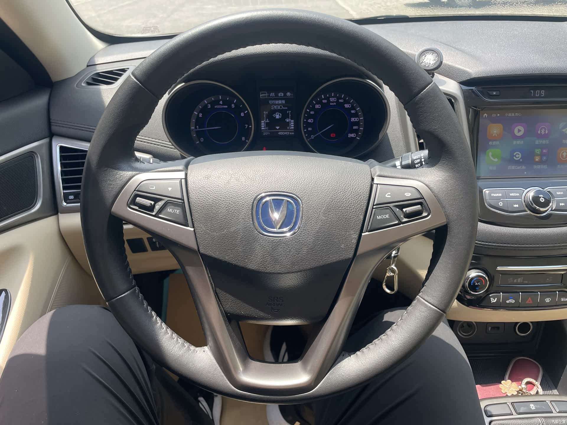 Changan Eado, 2017 13