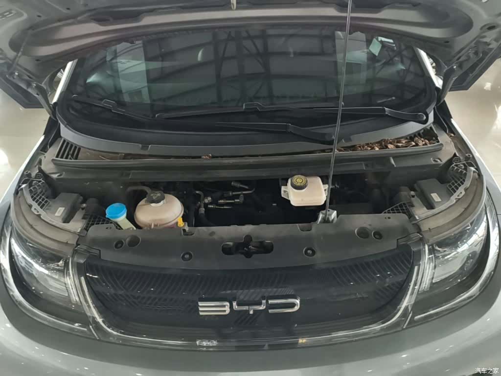 BYD Dolphin, 2023 20