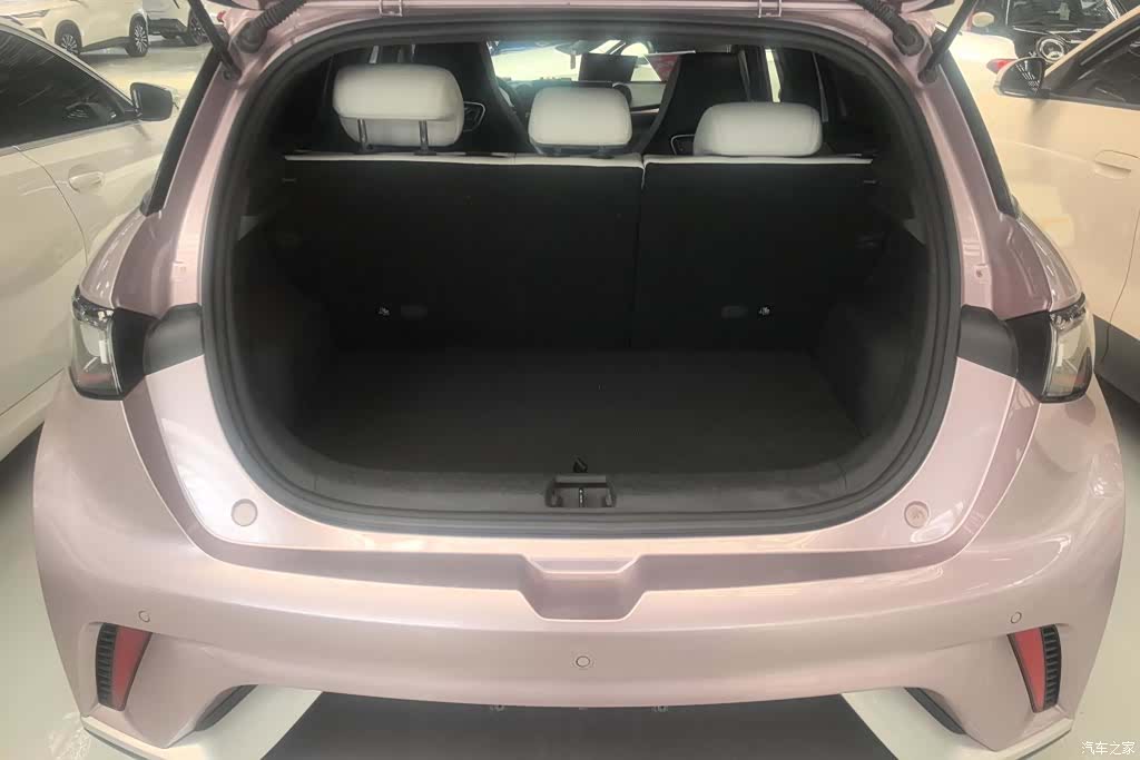 BYD Dolphin, 2024 4