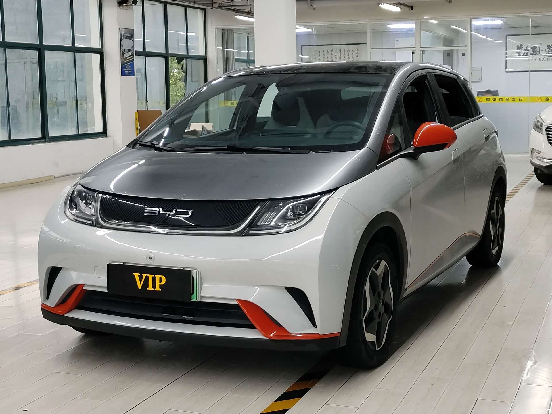 BYD Dolphin, 2022 1