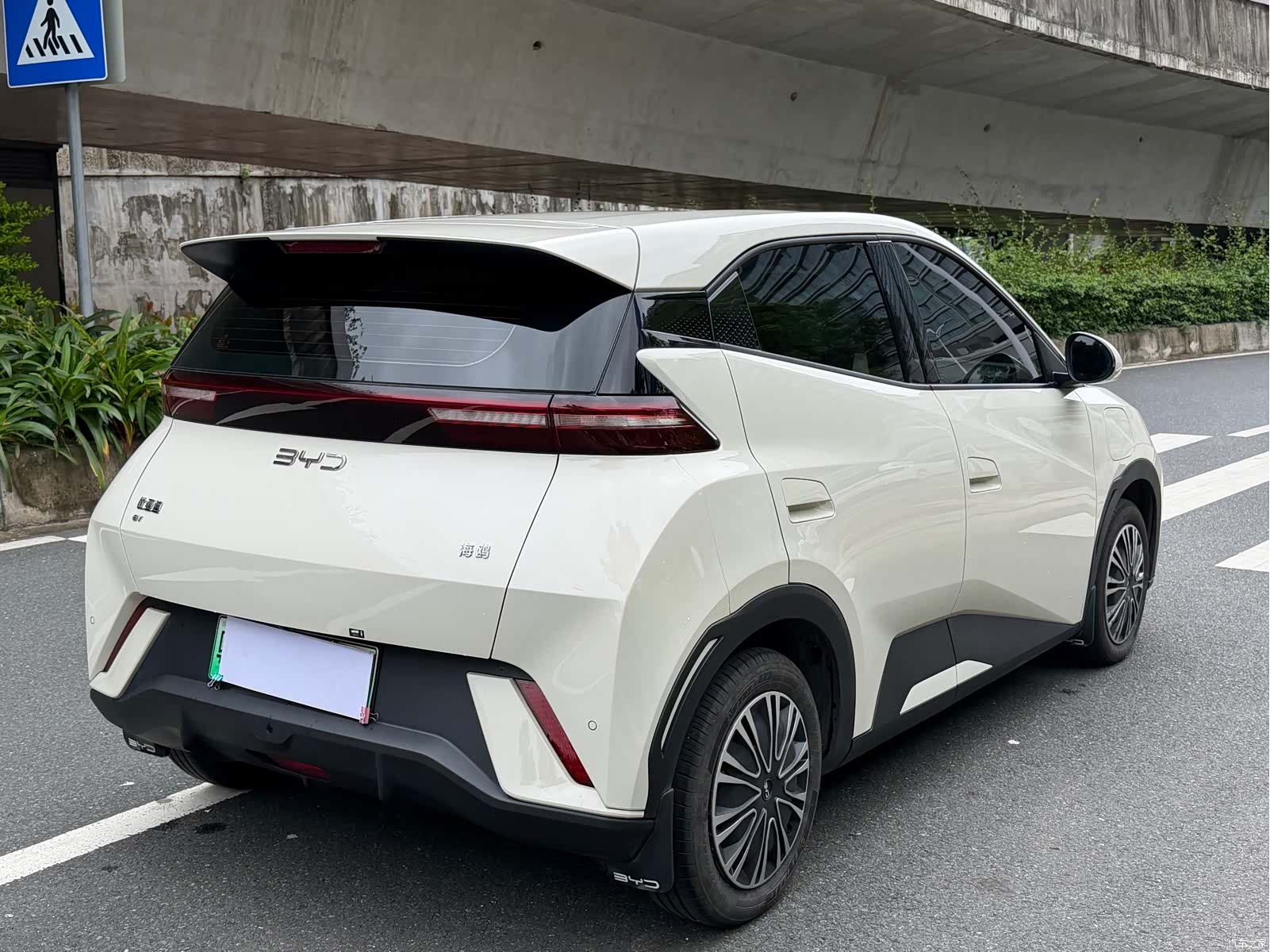BYD Seagull, 2025 15