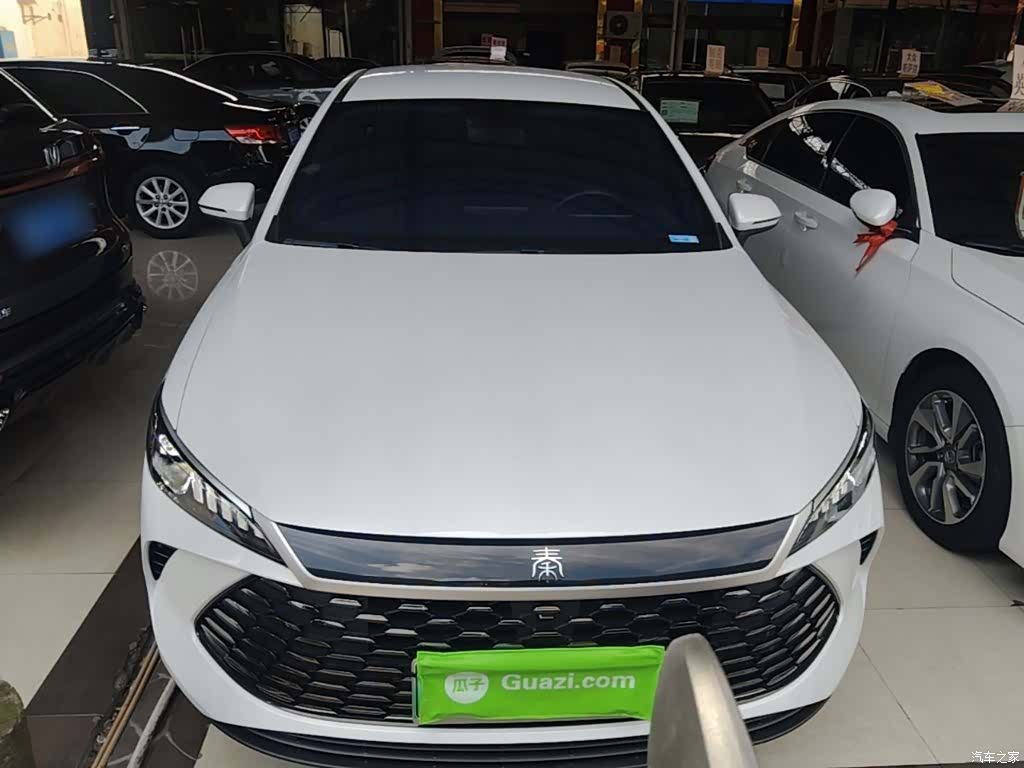 BYD Qin, 2026 3