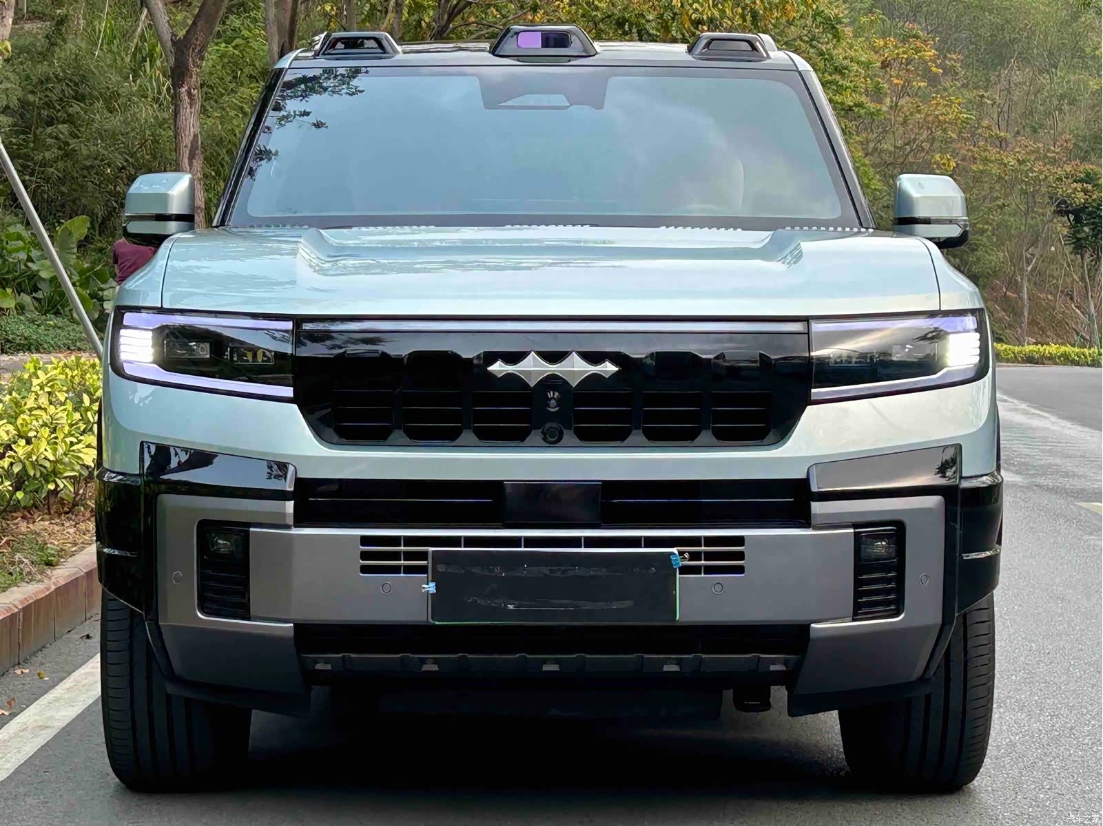 Fang Cheng Bao Bao 8, 2024 2