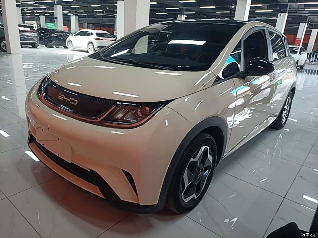 BYD Dolphin, 2023 2