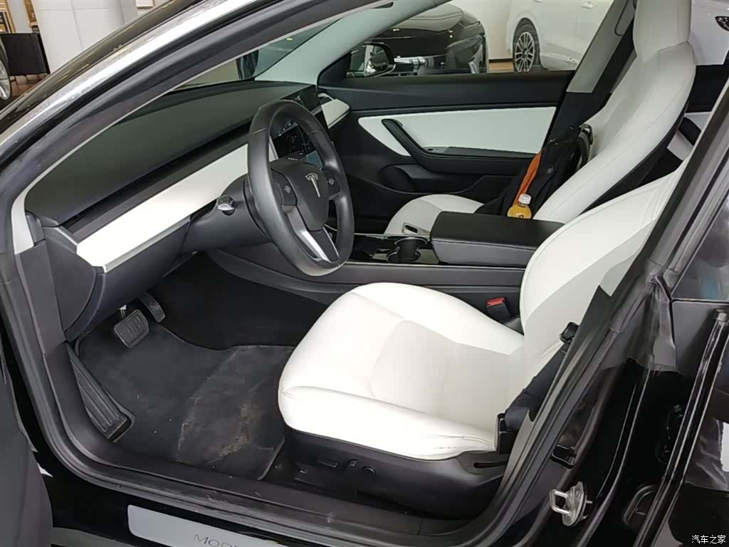 Tesla Model 3, 2019 15