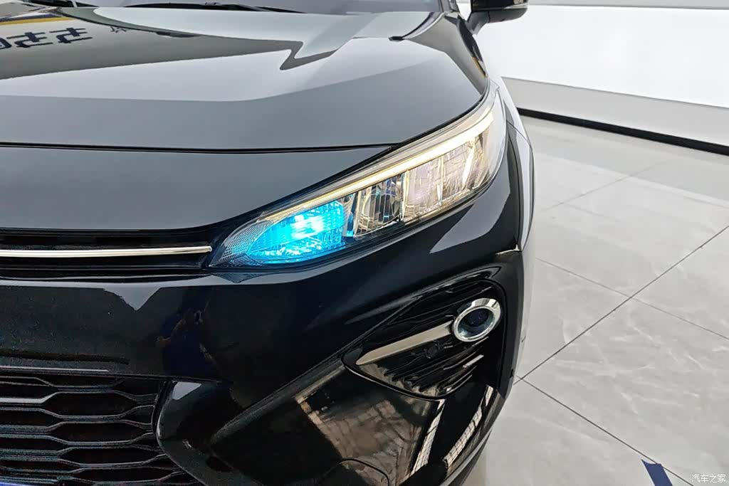 Toyota Wildlander, 2022 все фото