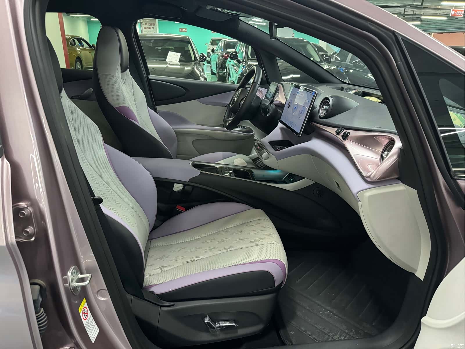 BYD Dolphin, 2024 10
