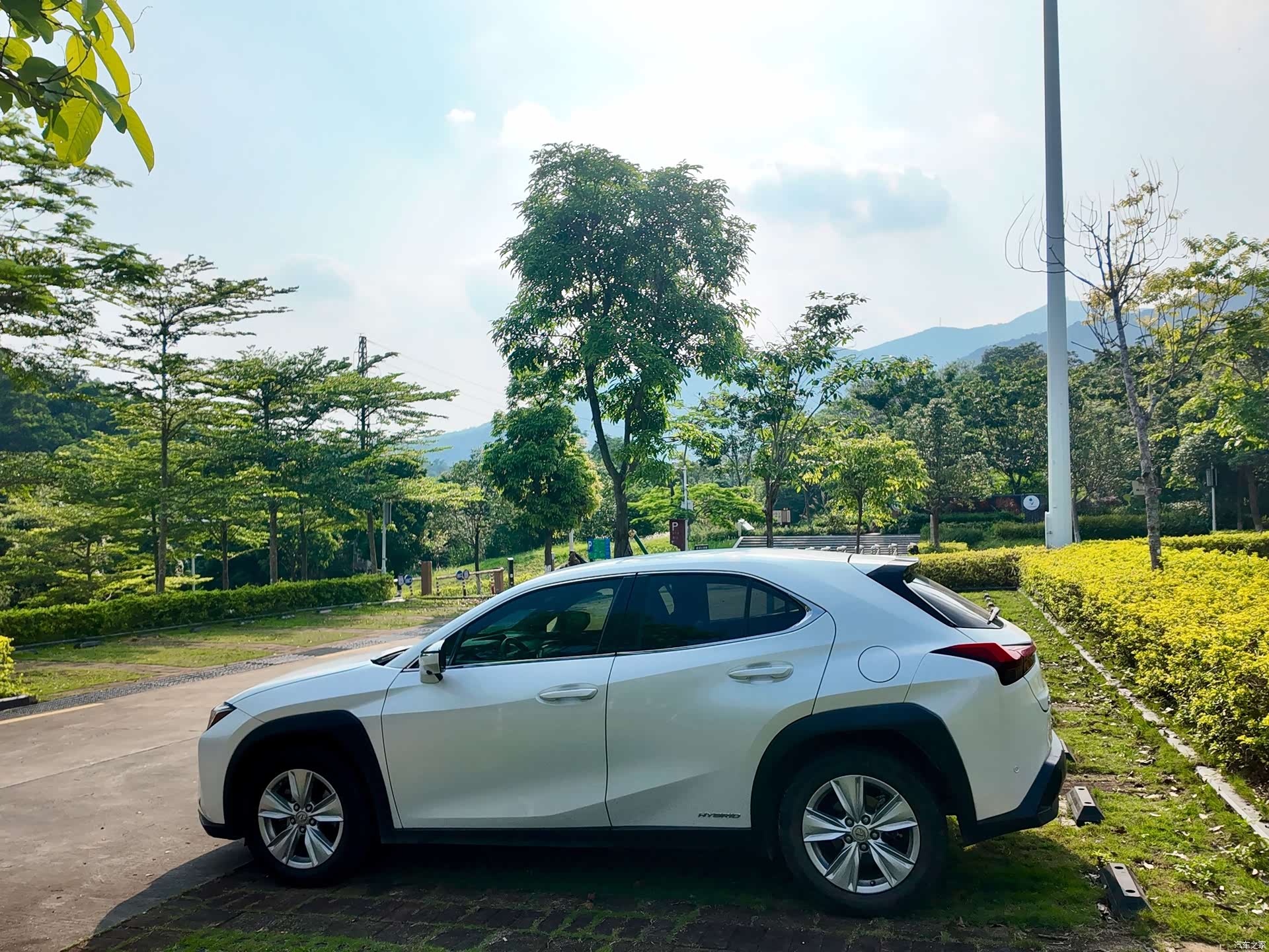 Lexus UX, 2019 все фото