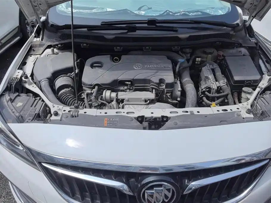 Buick Weilang