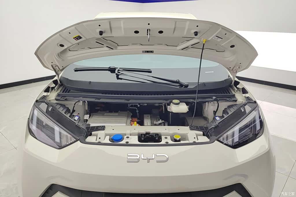 BYD Seagull, 2024 10