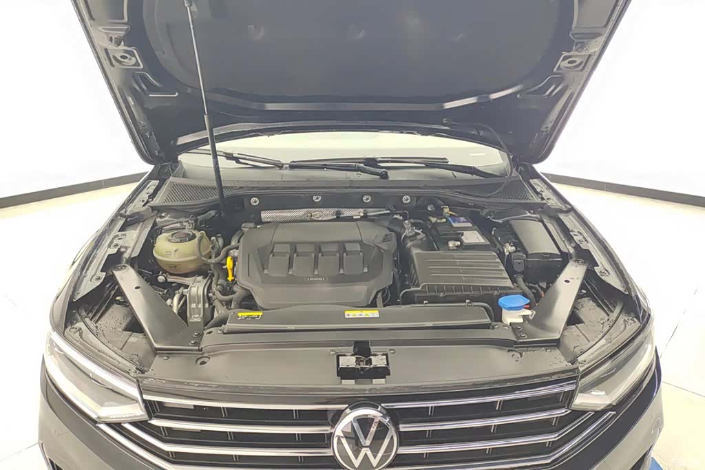 Volkswagen Magotan, 2022 10