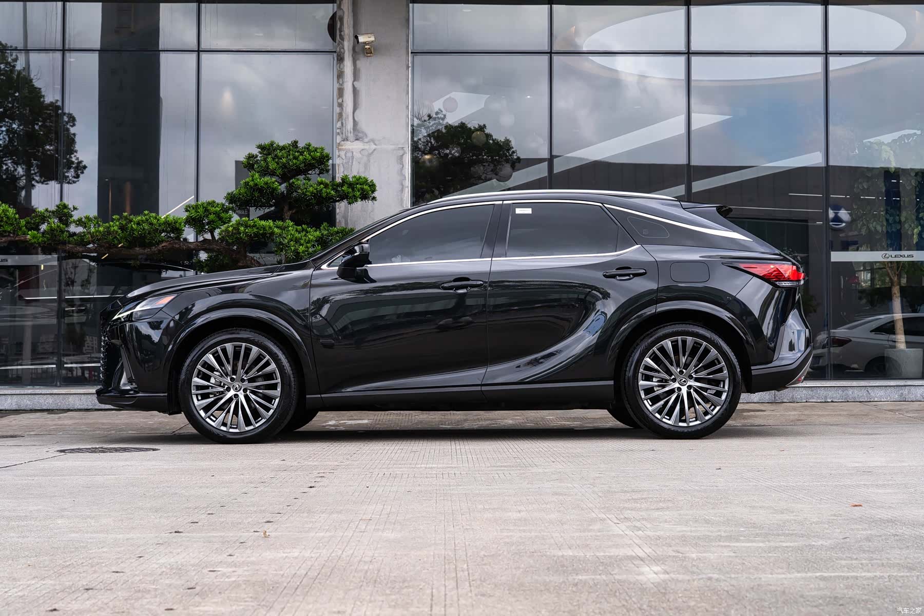 Lexus RX, 2024 4