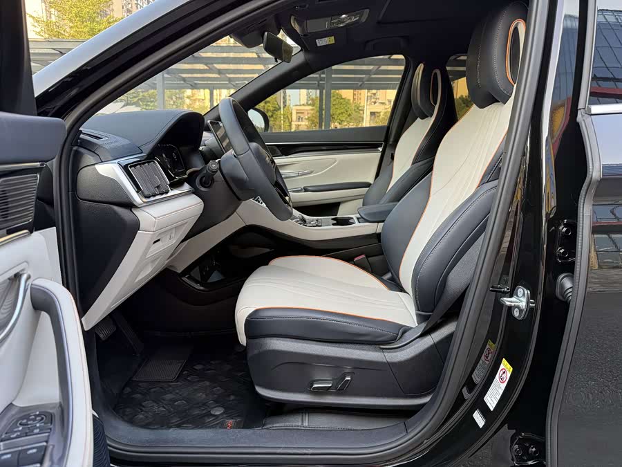 BYD Song PLUS New Energy 2024, фото 15