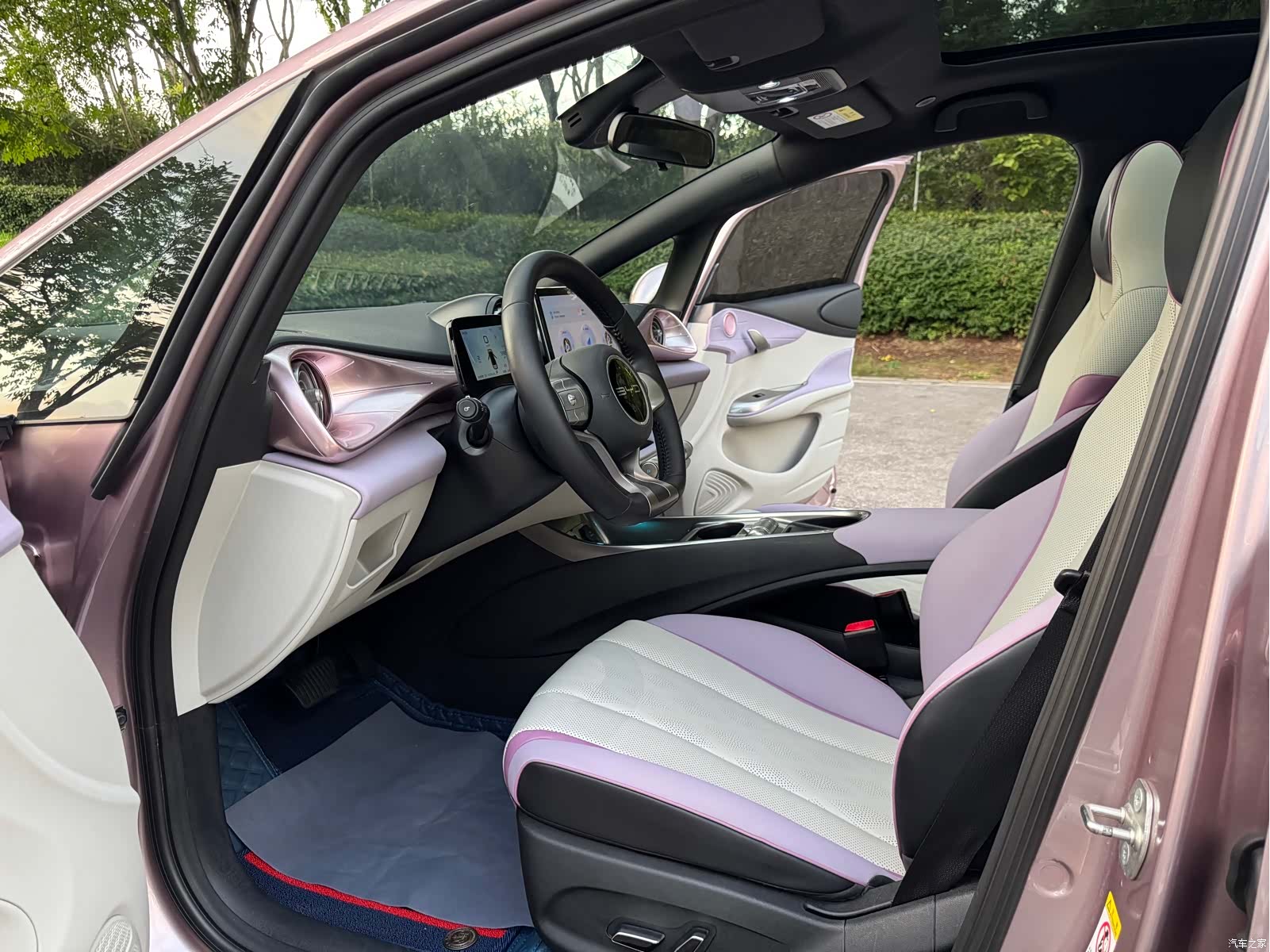 BYD Dolphin, 2024 10