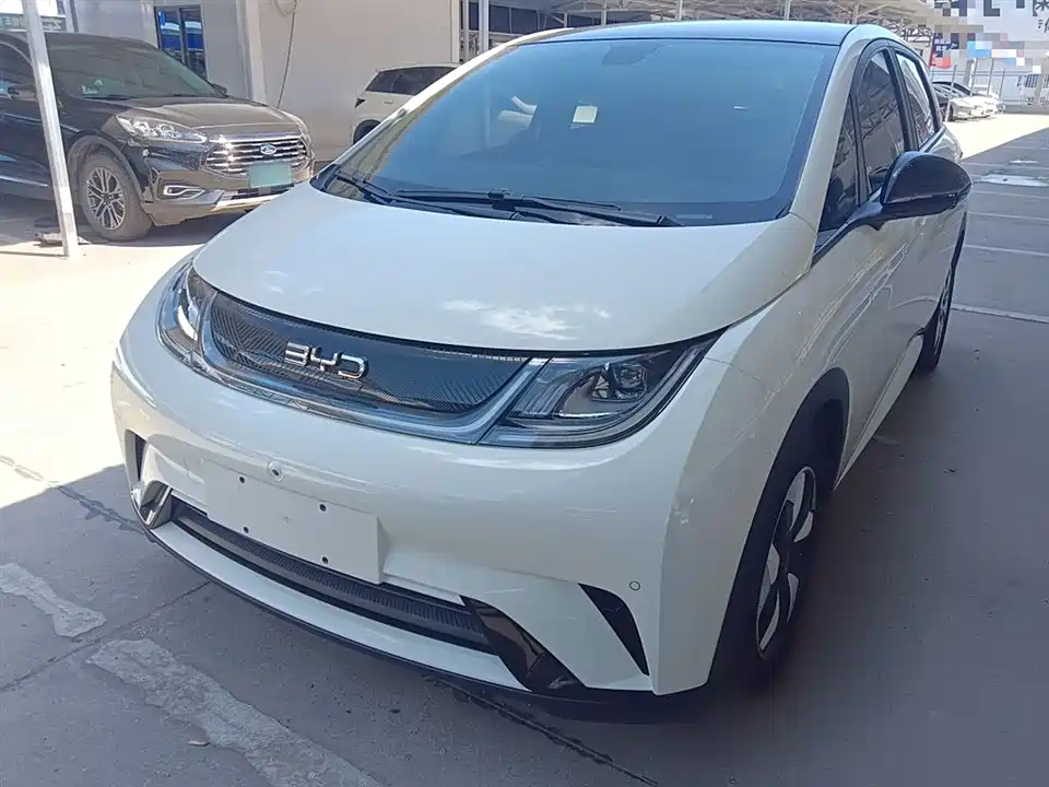 BYD dolphin
