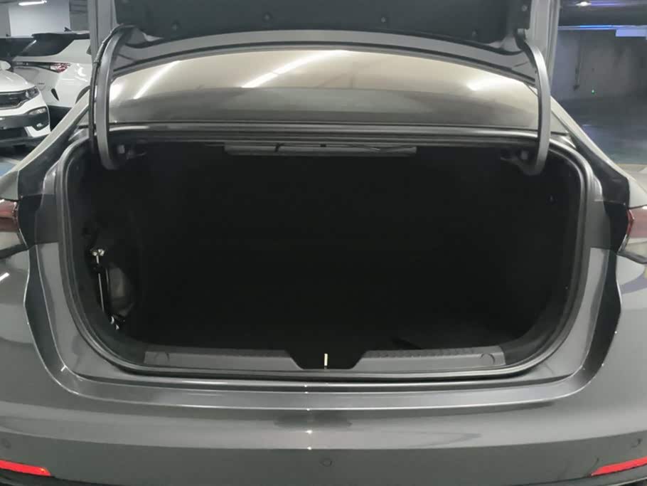 Trumpchi Shadow Leopard