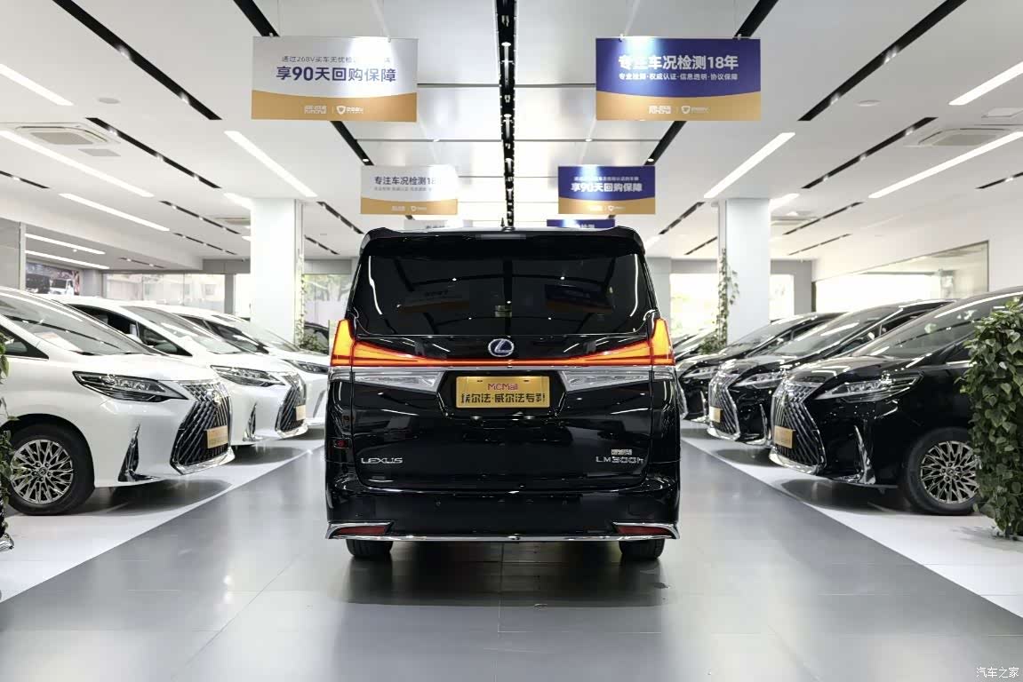 Lexus LM, 2023 11