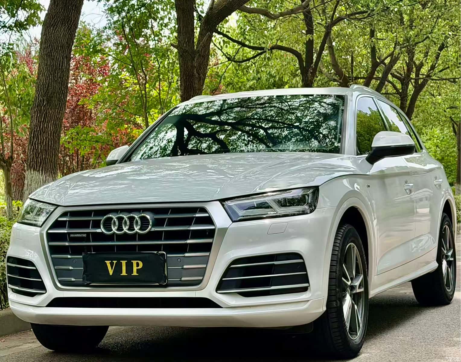 Audi Q5L, 2019 1