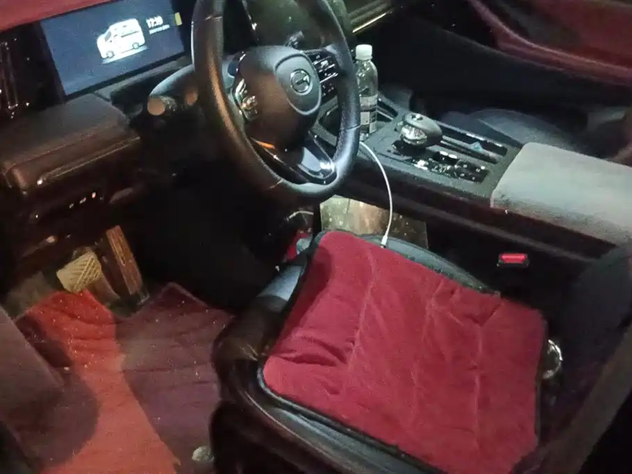 Trumpchi Trumpchi E9