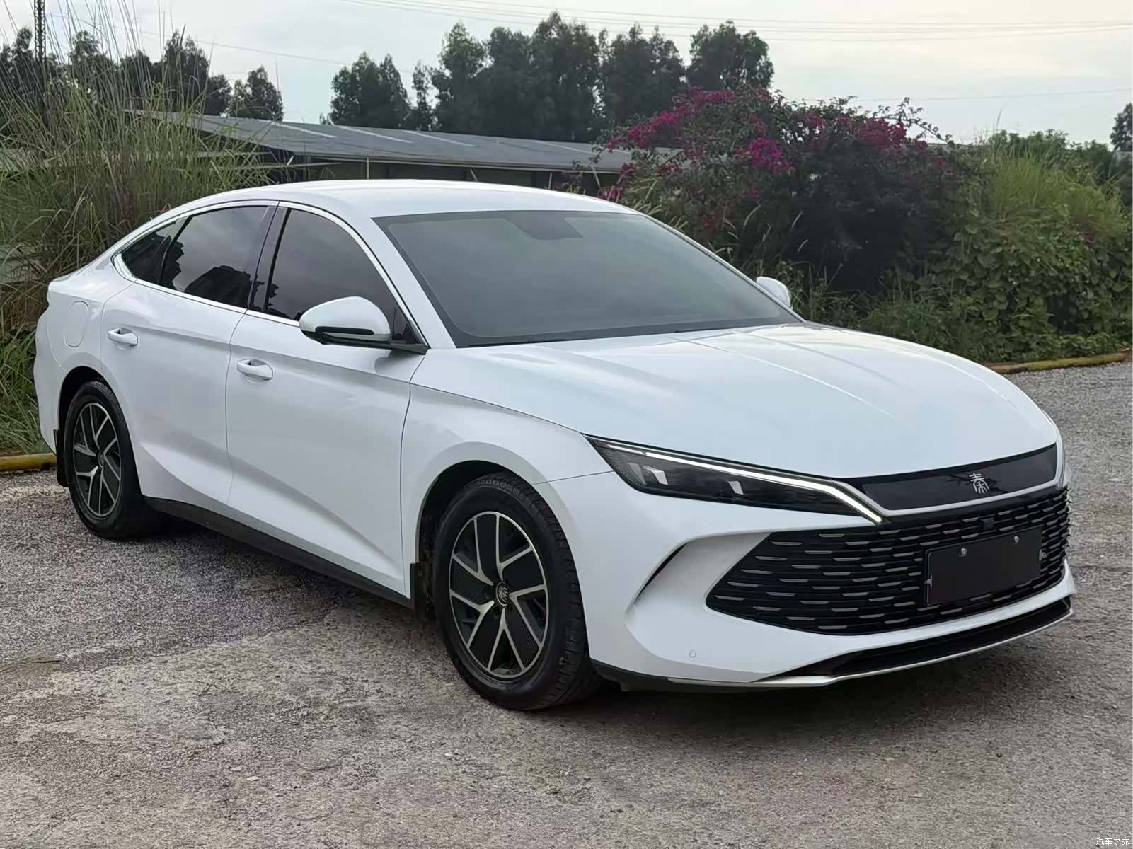 BYD Qin, 2025 3