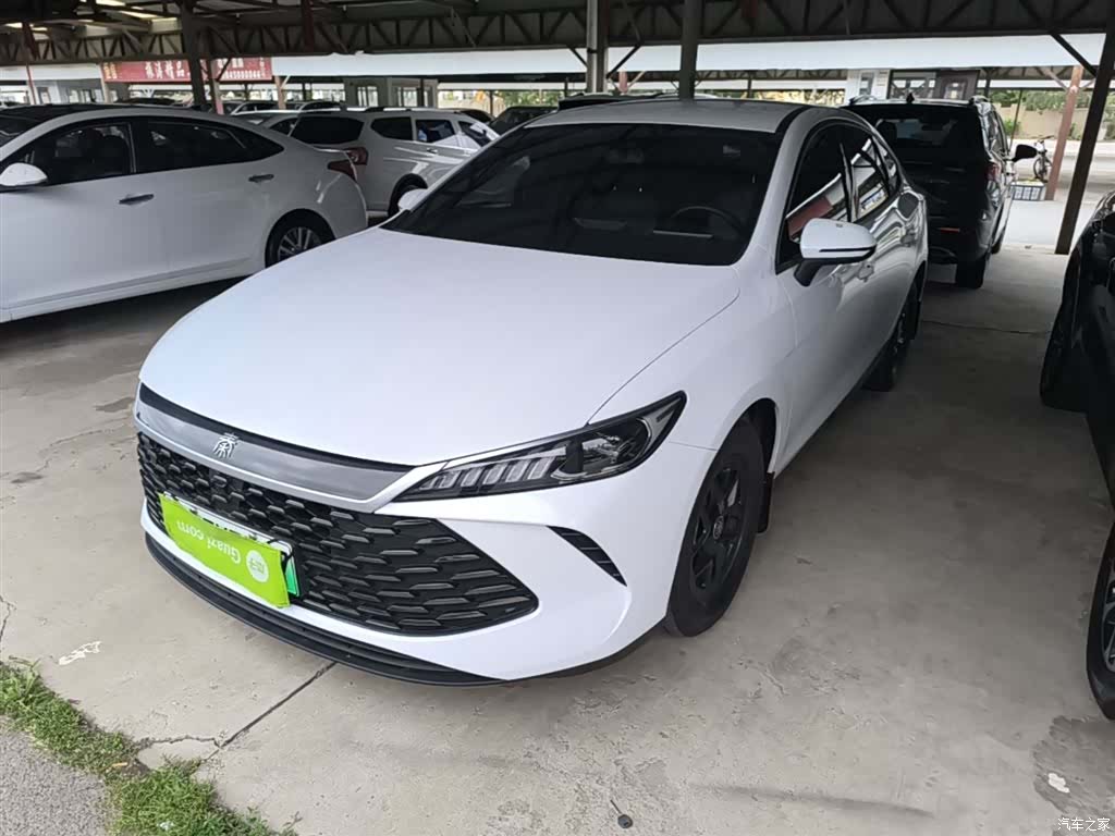 BYD Qin, 2025 1