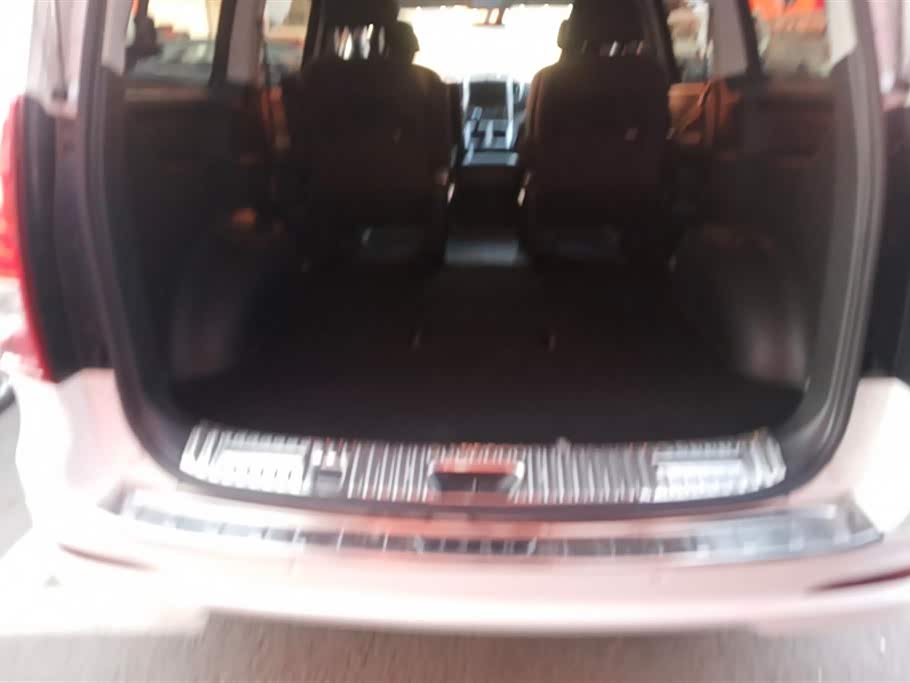 Forthing Lingzhi PLUS