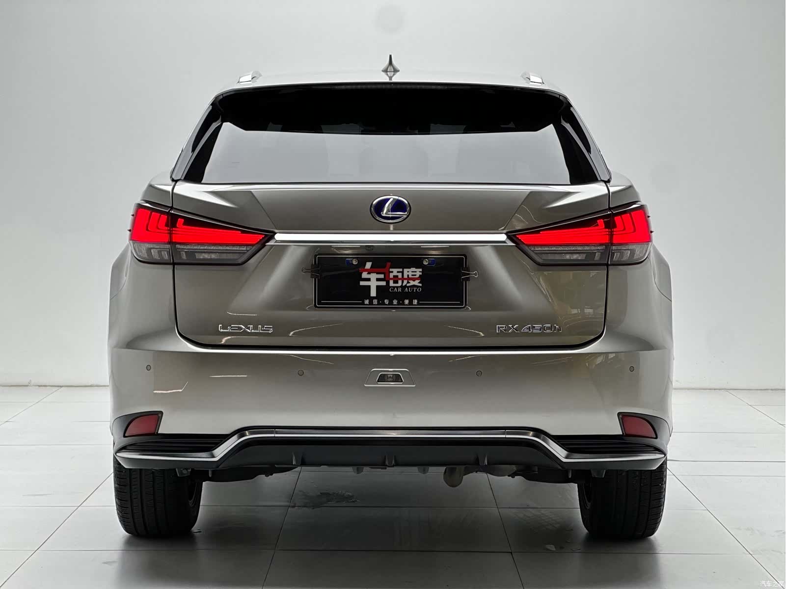 Lexus RX, 2021 все фото