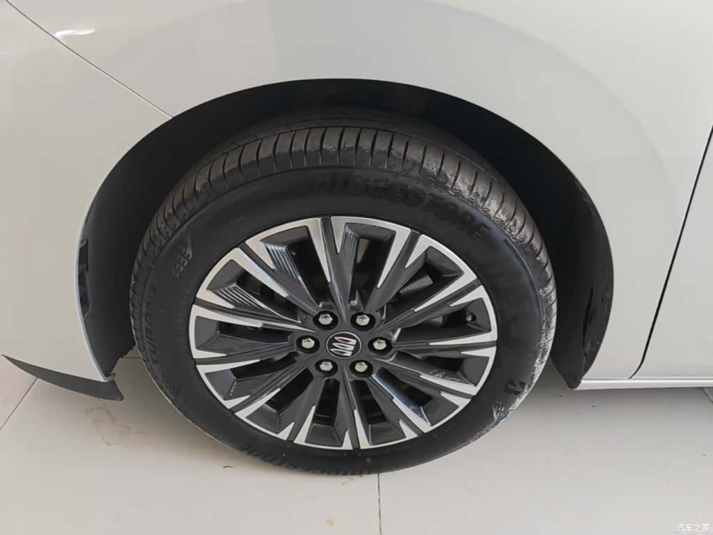 Buick GL8, 2024 23