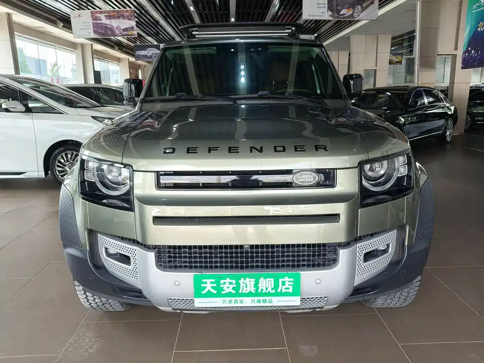 Land Rover guard