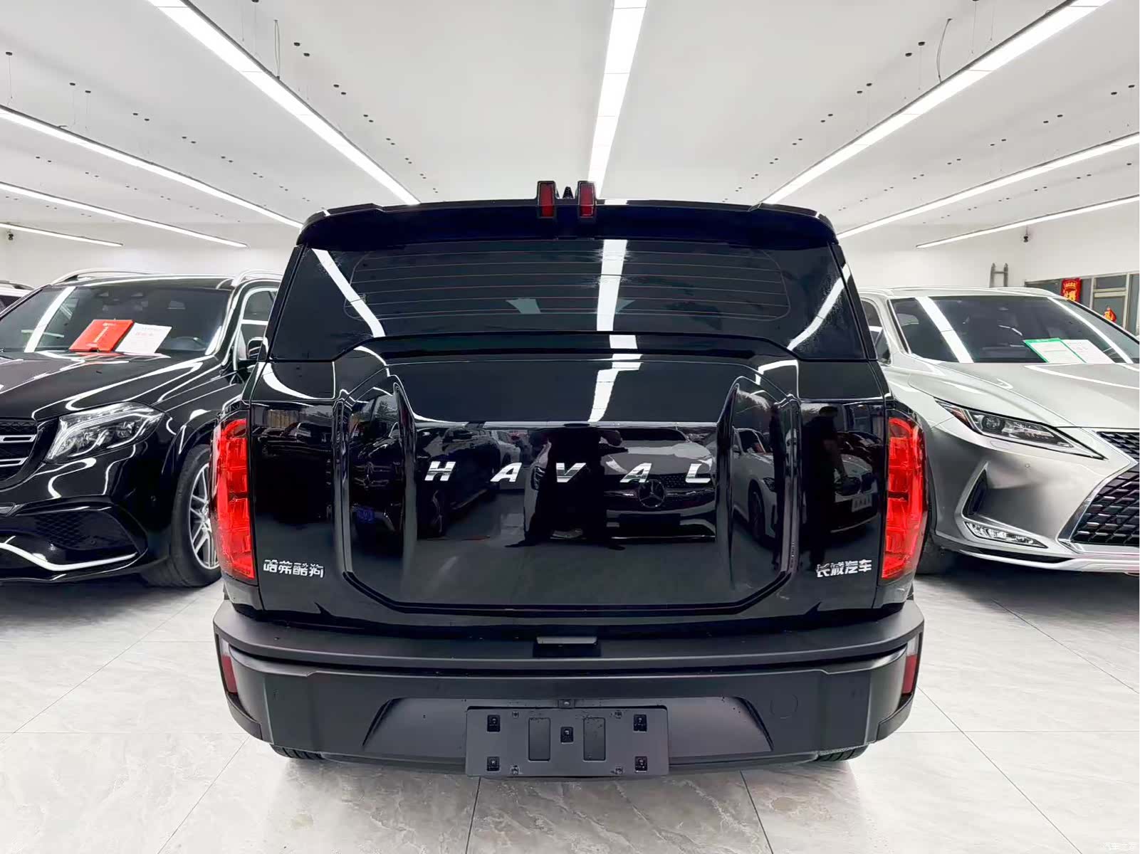 Haval Cool Dog, 2022 все фото