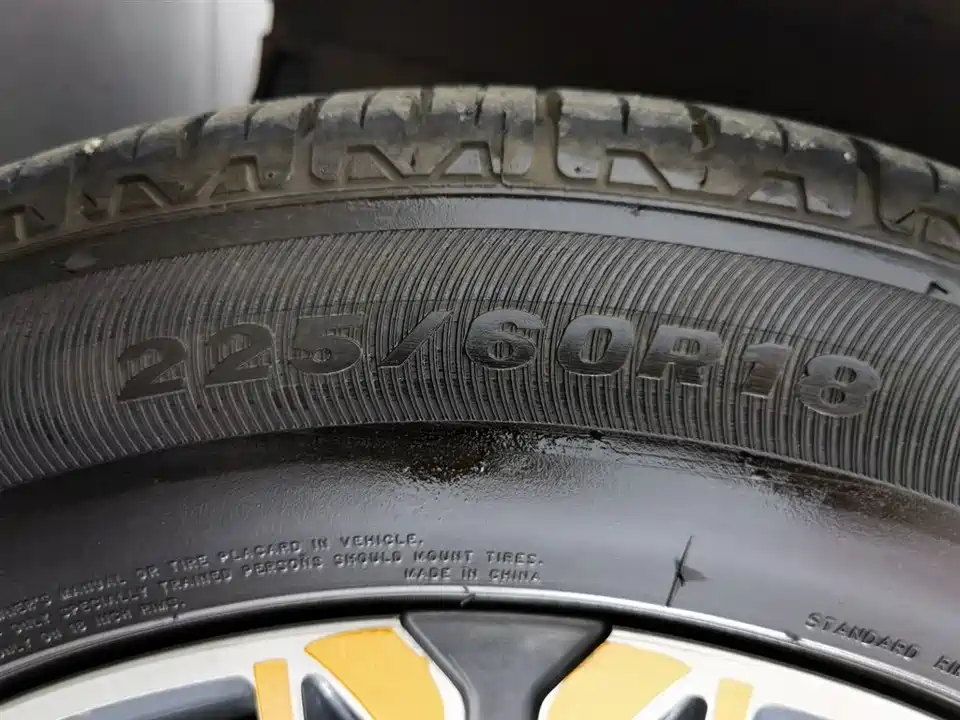 Leopaard Cheetah CS10