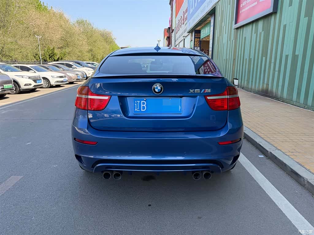 BMW X6, 2010 12