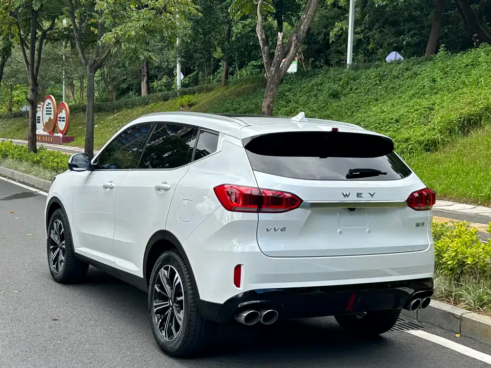 Weipai VV6