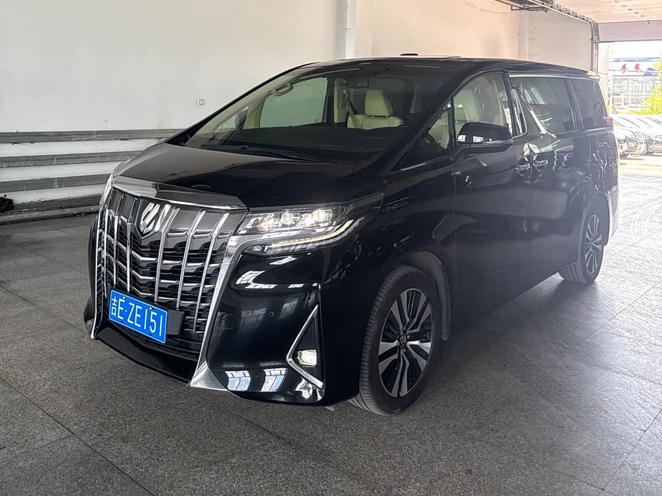 Toyota Elfa