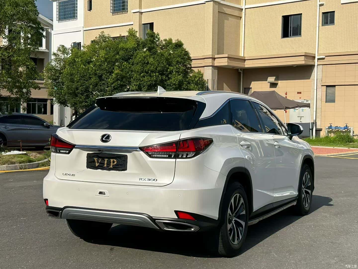 Lexus RX, 2020 4