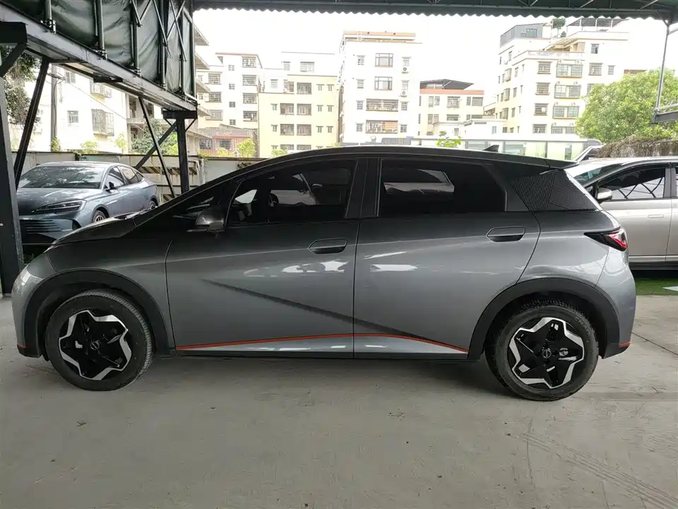 BYD dolphin