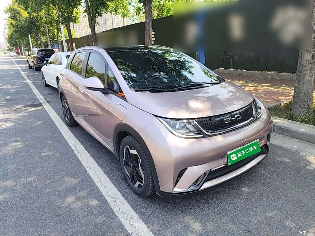 BYD Dolphin, 2022 4