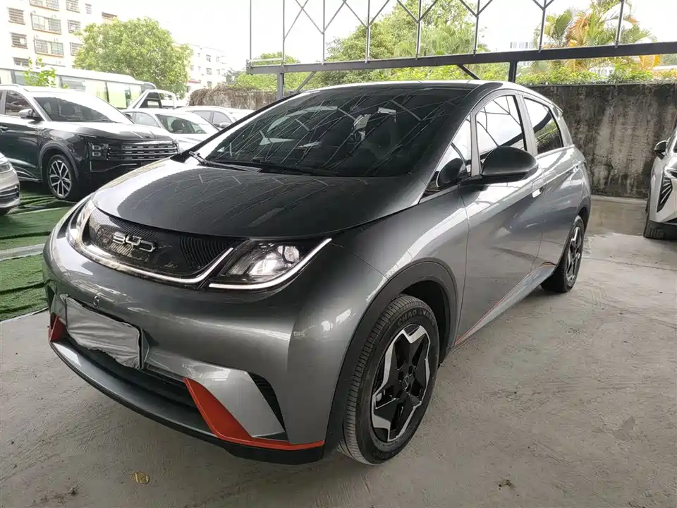 BYD dolphin