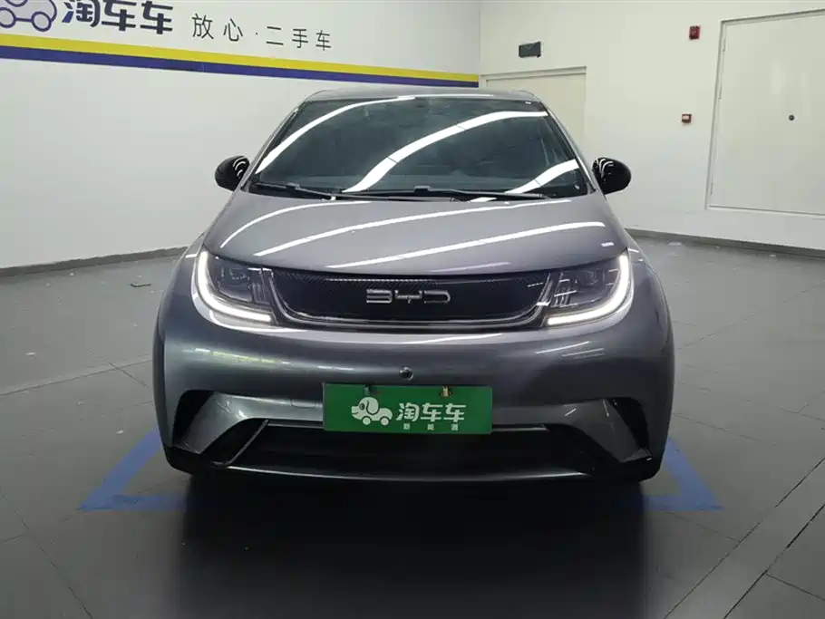 BYD dolphin