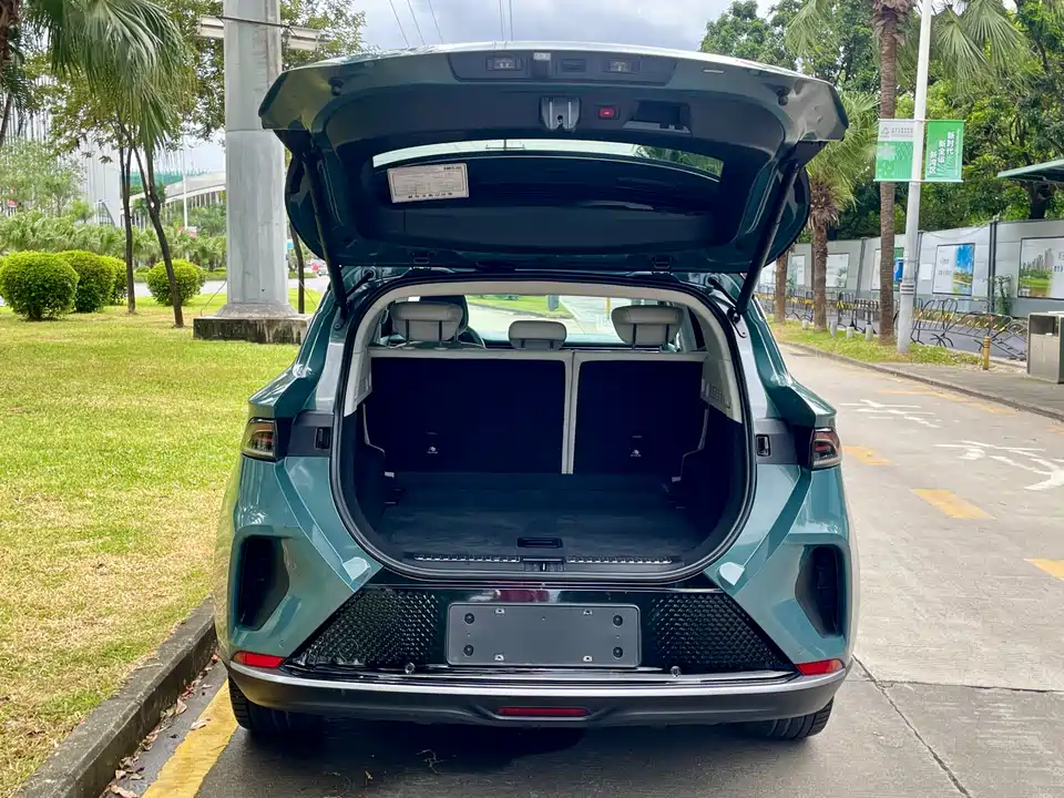 ARCFOX Polar Fox Alpha T