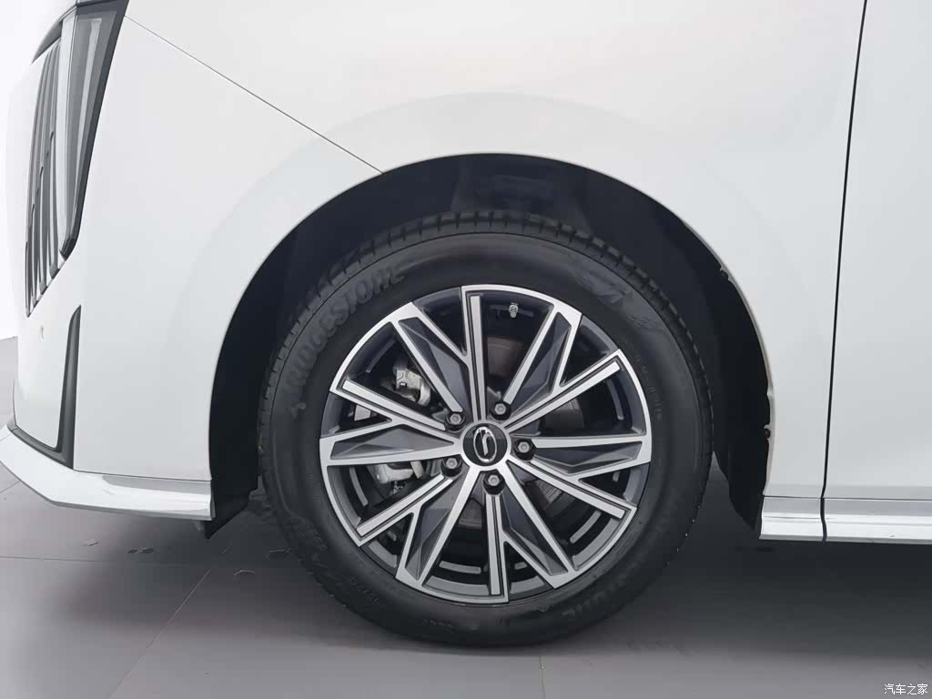 Trumpchi M8, 2024 17